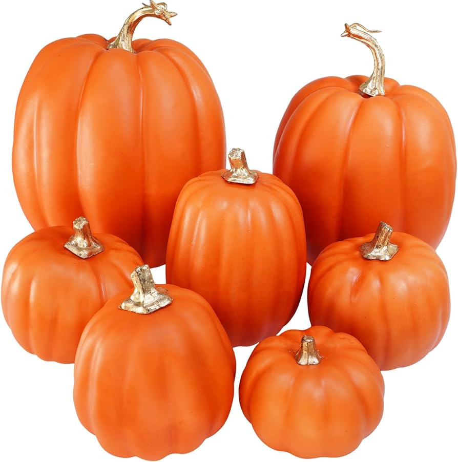 Winlyn | Amazon (US)