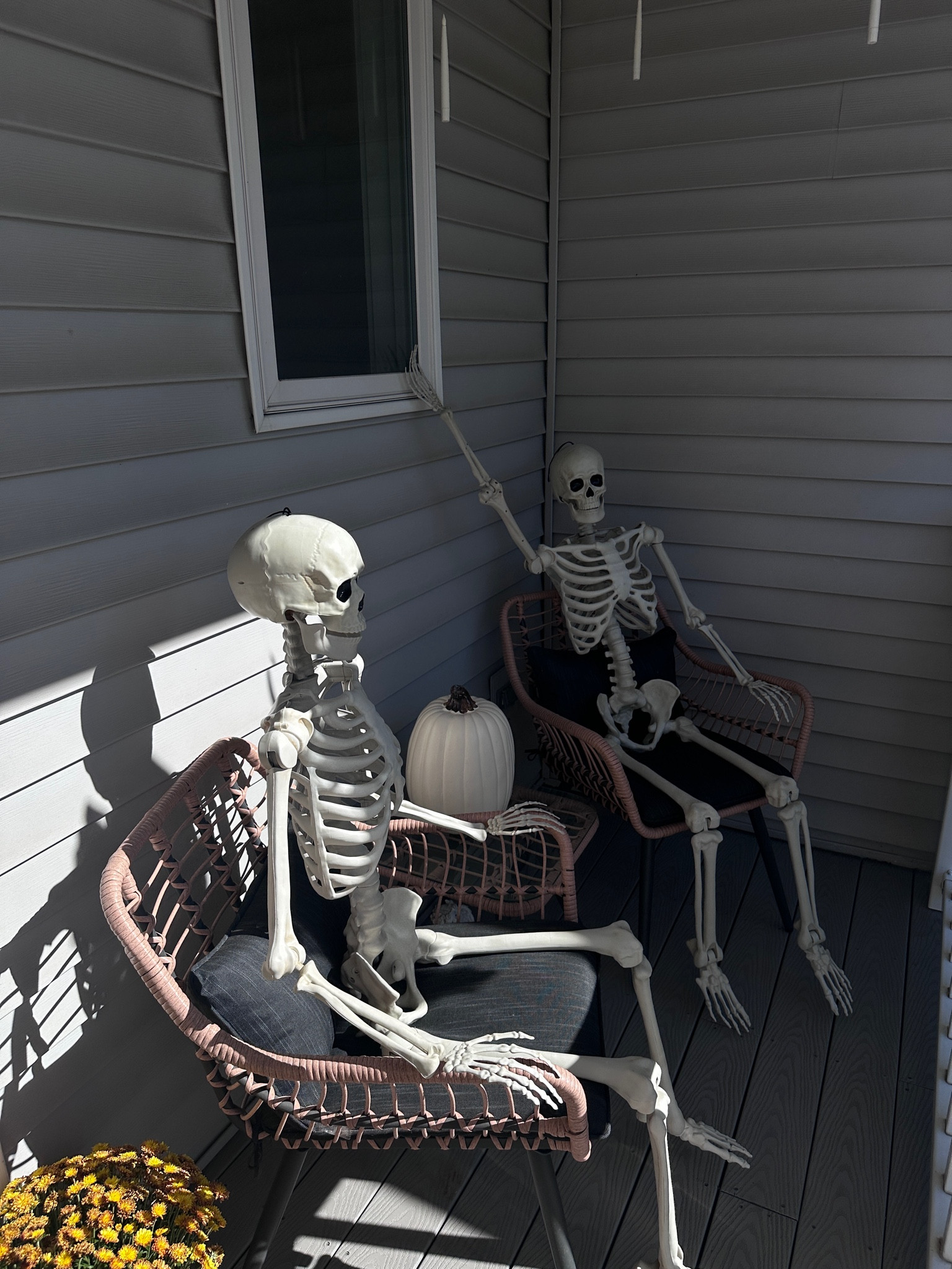 The boys are waiting for trick-or-treaters 🦇💀🎃🕯️

#LTKFindsUnder50 #LTKHalloween #LTKSeasonal