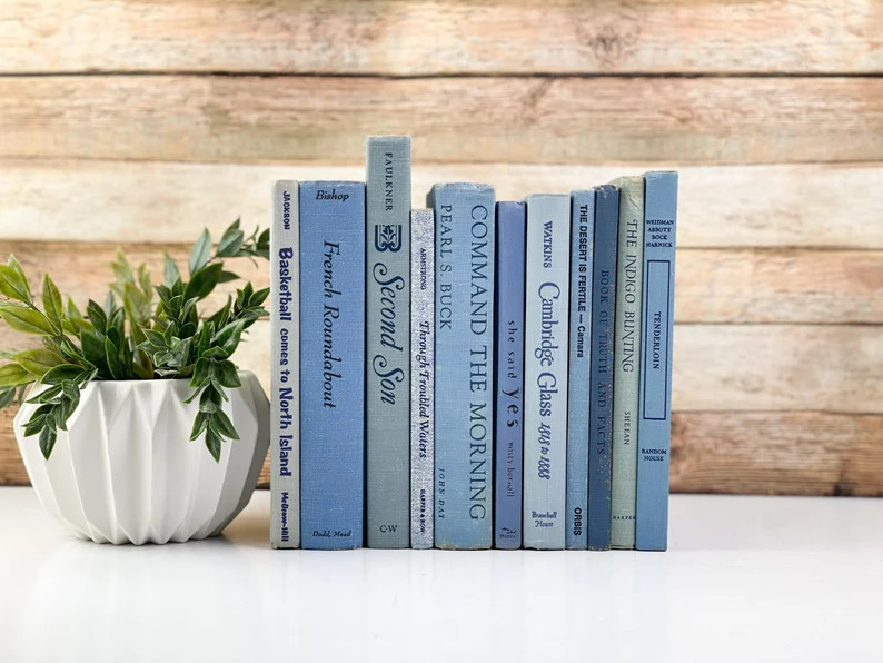 Blue Bookshelf Decor | Etsy Canada | Etsy (CAD)