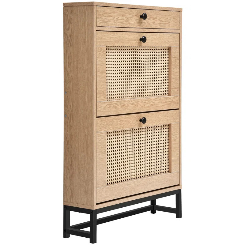 2 Tier Shoe Storage Cabinet | Wayfair North America