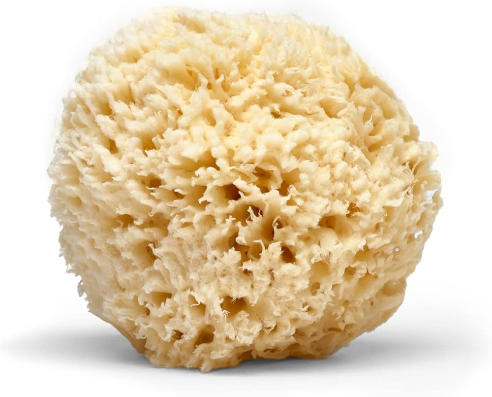 LATHER Natural Sea Wool Sponge | Self Care | Shower and Bath Sponge | Natural Loofah | Sea Sponge... | Amazon (US)