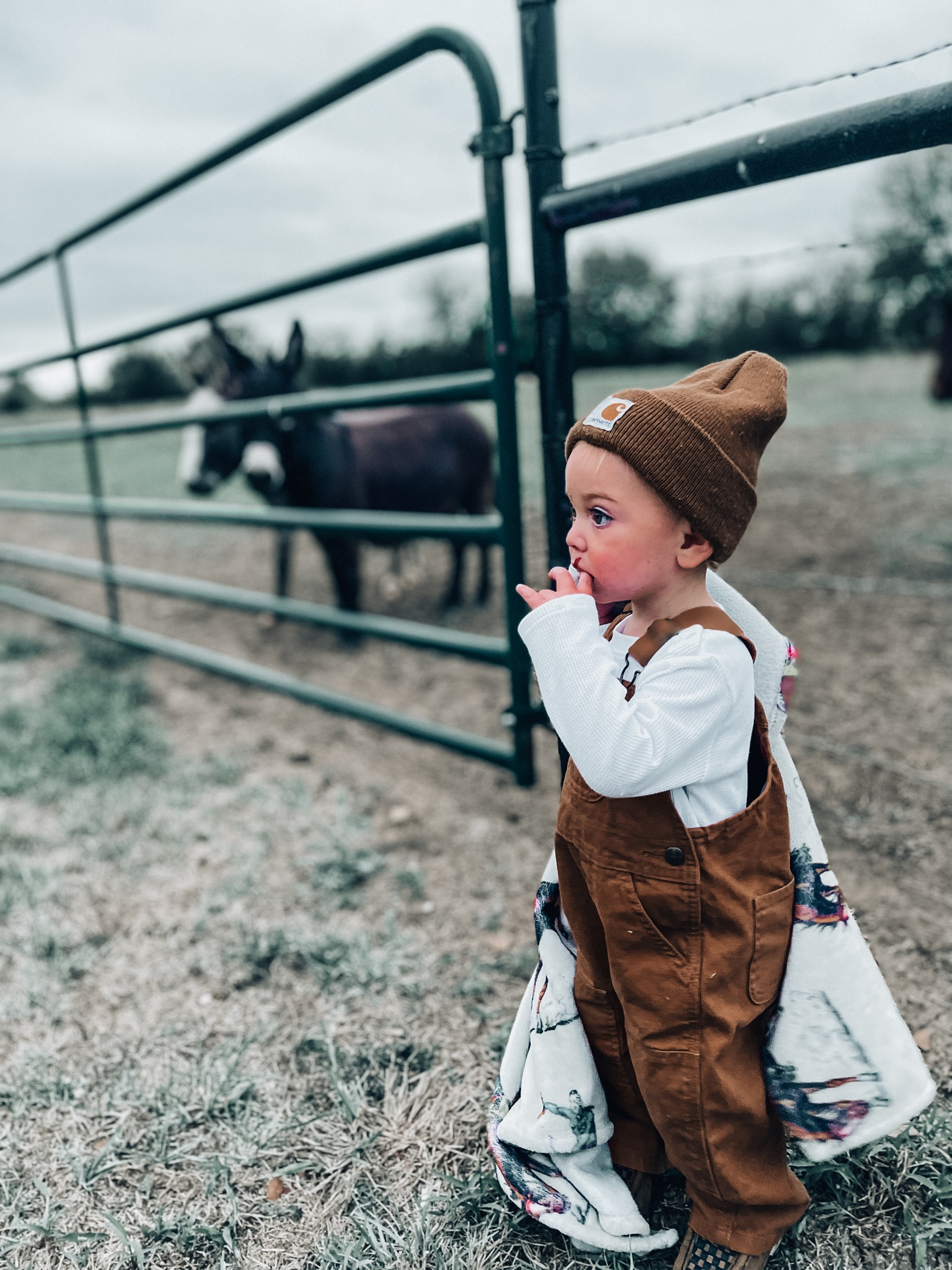 Carhartt affordable outfits for toddler boys 

#LTKbaby #LTKbump #LTKkids
