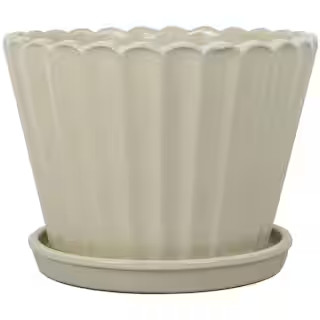 Medium Cream Ceramic Round Planter with Fluted Scallop Design and Attached Saucer (14 in. L x 14 ... | The Home Depot