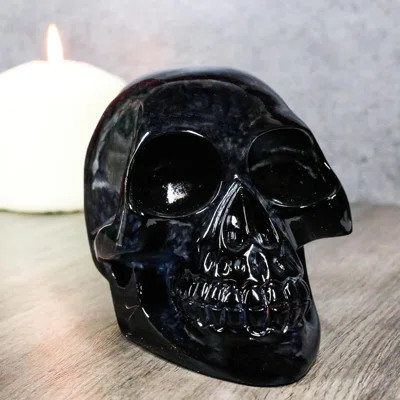 Kamario Fantasy & Sci-Fi Statue | Wayfair North America