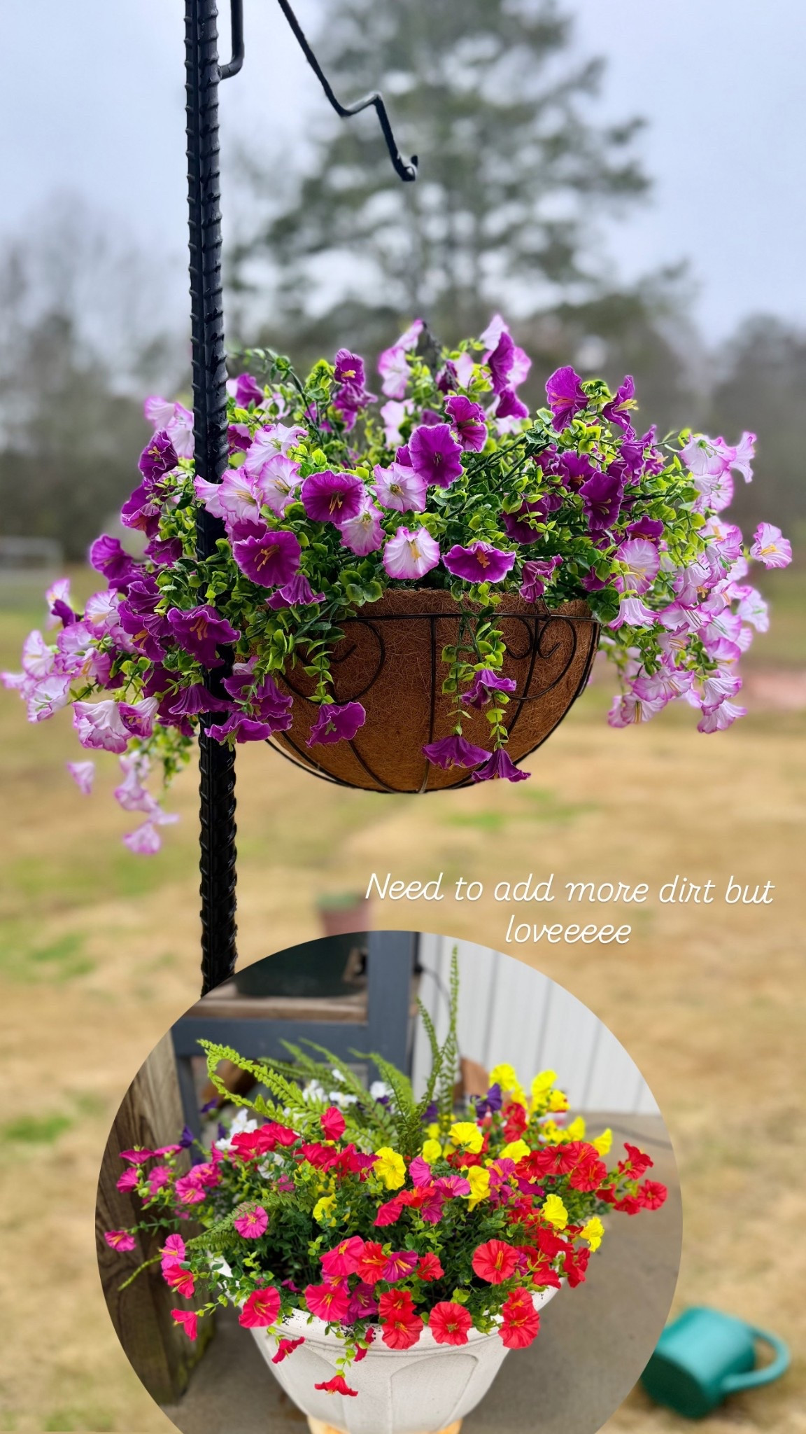 Obsessed with these flowers!! No stress over watering them🫶

#LTKSeasonal #LTKSpringSale #LTKHome