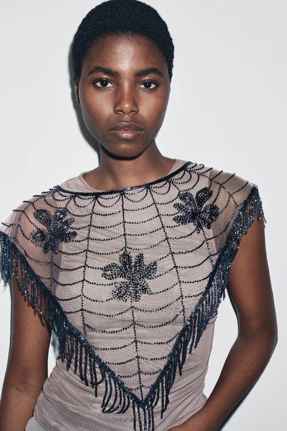 BEADED EMBROIDERED CAPE | Zara US