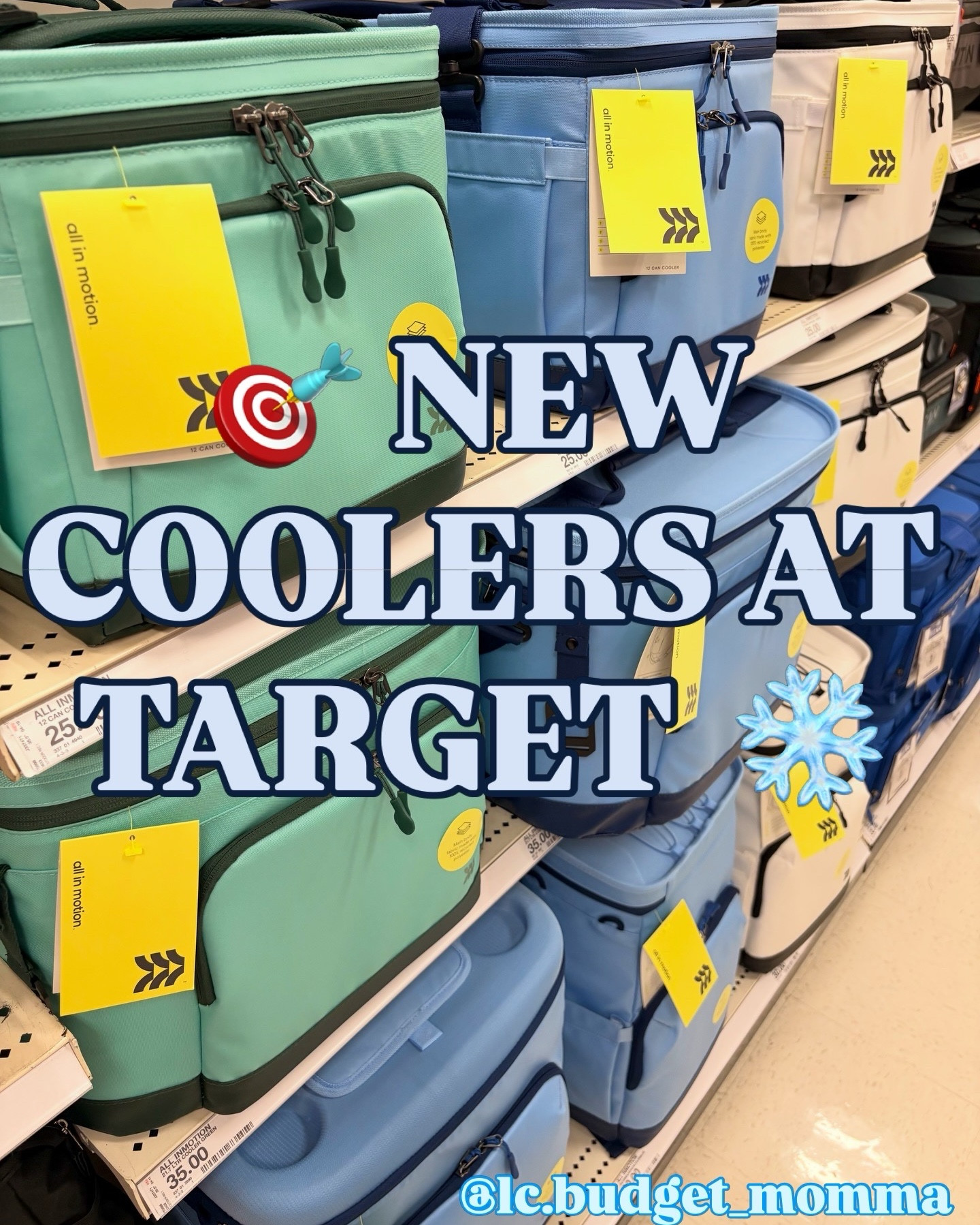 #cooler #summer #targetfinds 

#LTKSeasonal