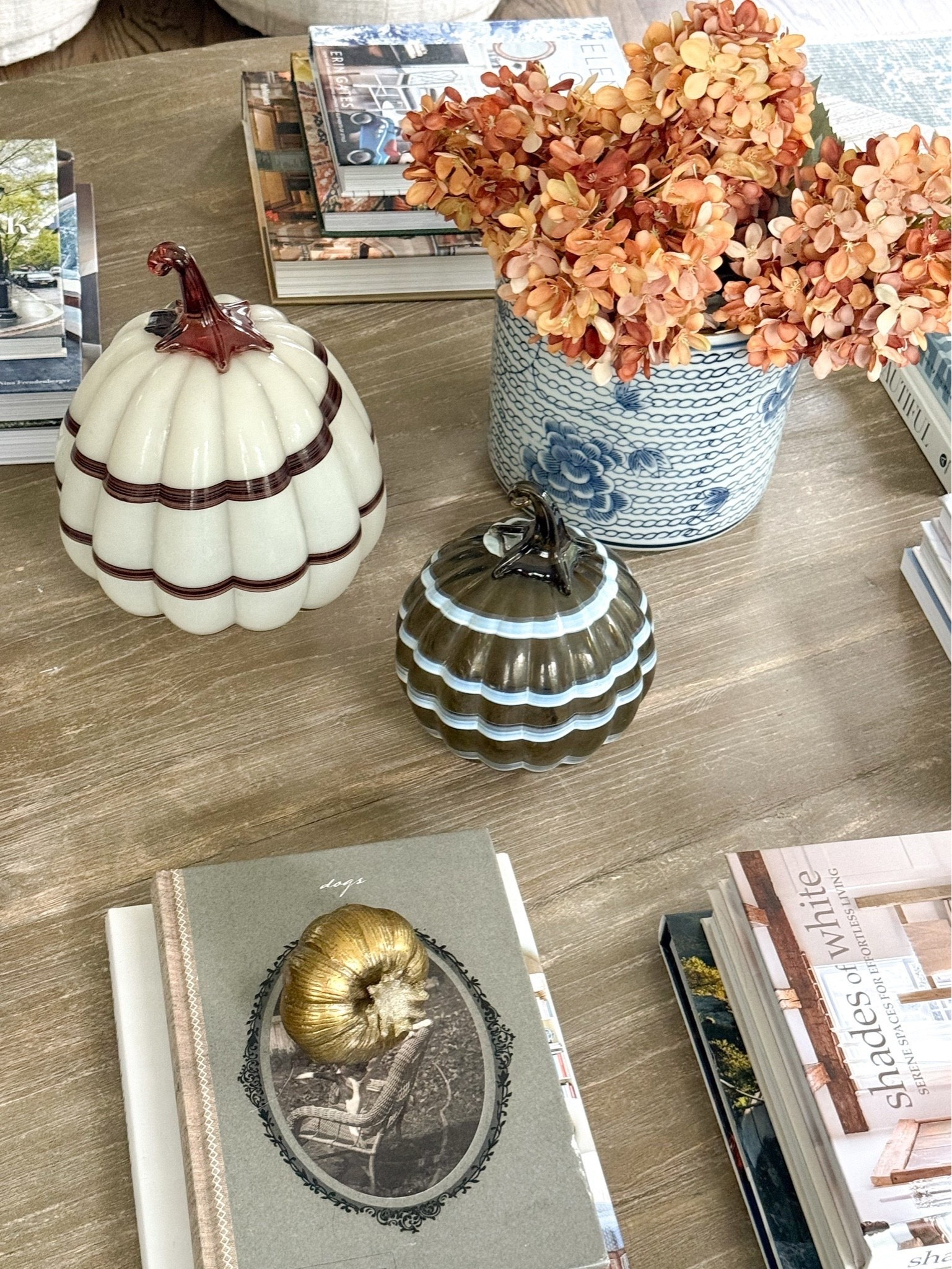 Fall decor and living room inspo 🍂

Made a few swaps on the coffee table, hung two strands of garland and lit my favorite fall candle and suddenly were in my favorite season!

Fall decorating, fall entertaining, fall mantel, fall coffee table, coffee table books, fall plants, GIRLONTHEHUDSON, neutral home, modern coastal, minted art, cozy home, fall inspo, fall decor, fall accessories, brass accents, Afloral, McGee & Co

#LTKSaleAlert #LTKHome #LTKSeasonal