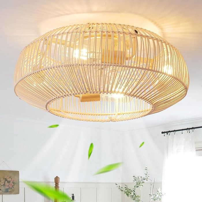 20'' Boho Rattan Ceiling Fan with Light, Coastal Caged Ceiling Fans with Lights and Remote Contro... | Amazon (US)