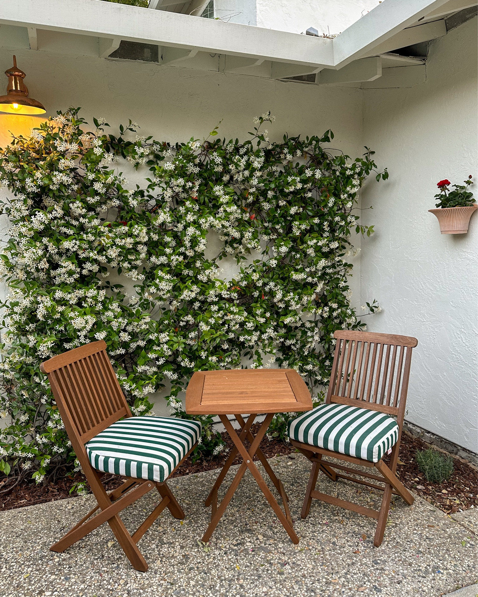 Bistro set

#LTKSeasonal #LTKHome