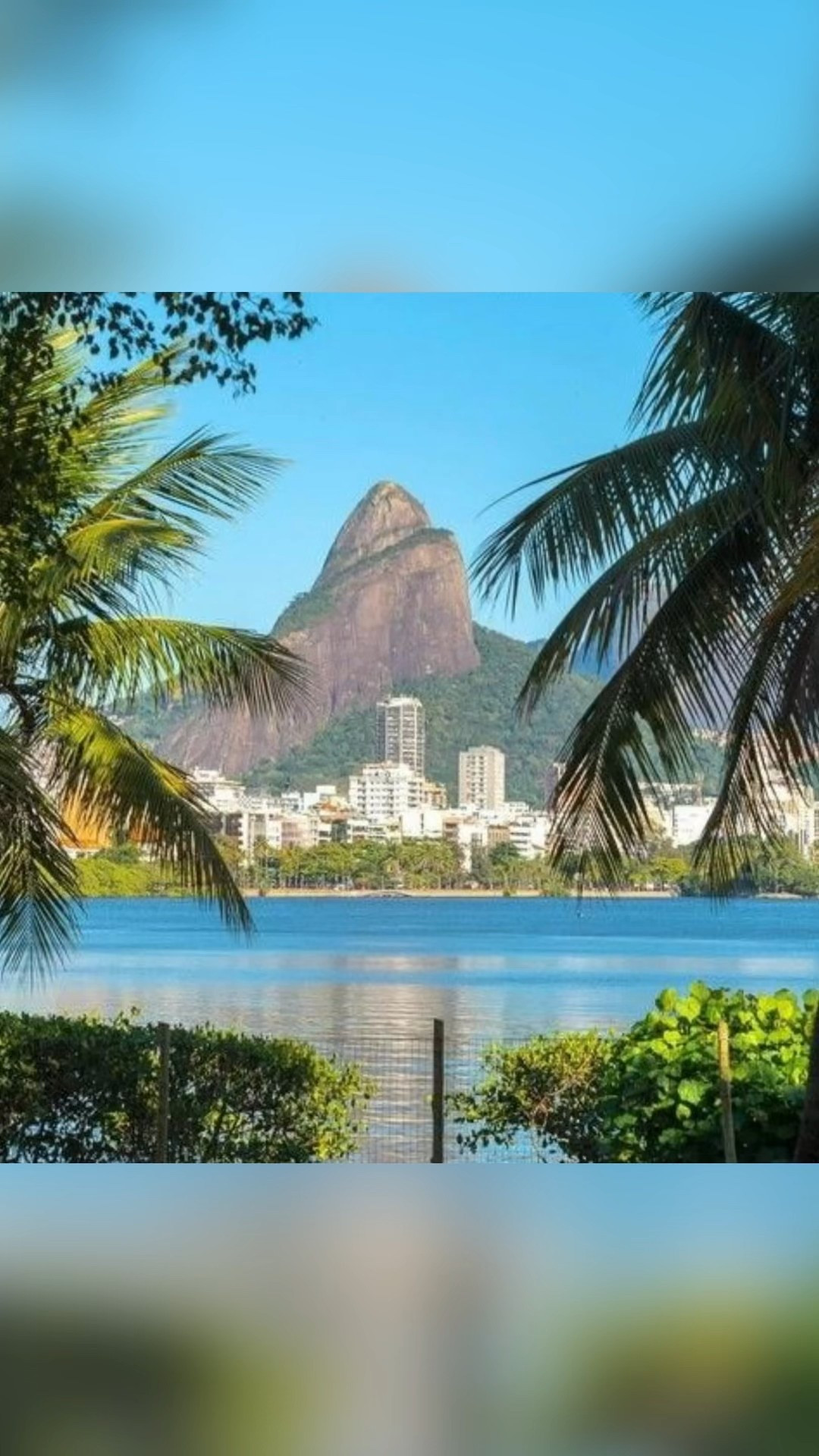 Rio Othon Palace Hotel

Overlooking Copacabana Beach, Rio Othon Palace blends modern comfort with iconic ocean views — a signature stay for those who love sun, style, and the spirit of Rio. 🇧🇷✨

#LTKTravel #LTKSeasonal #LTKHoliday