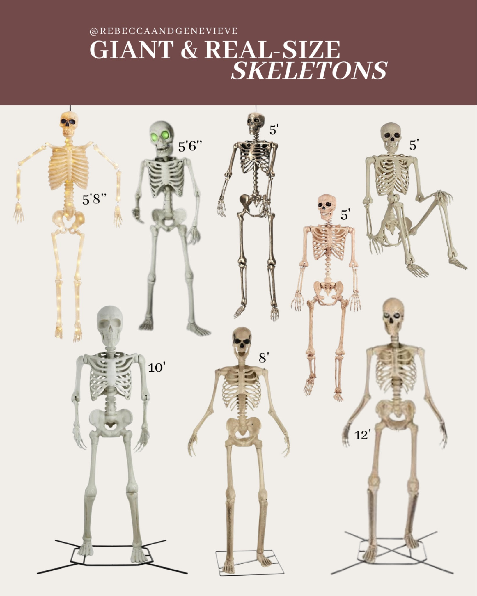 Giant and real size skeletons for Halloween 💀

#LTKSeasonal #LTKFindsUnder100 #LTKHome