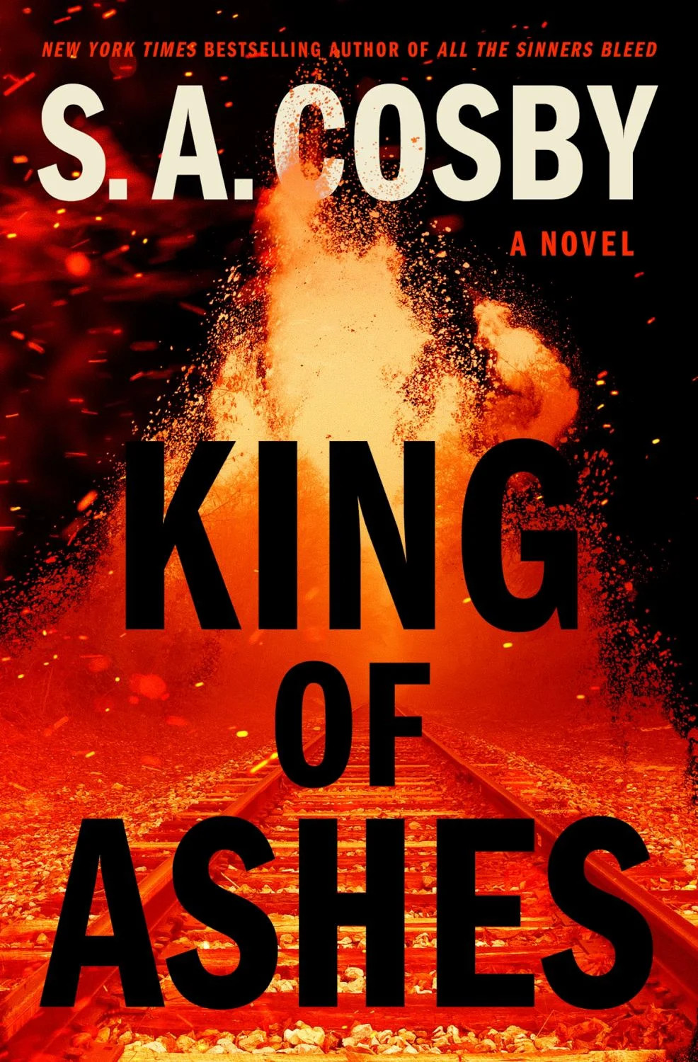 King of Ashes: A Novel (Hardcover) | Walmart (US)