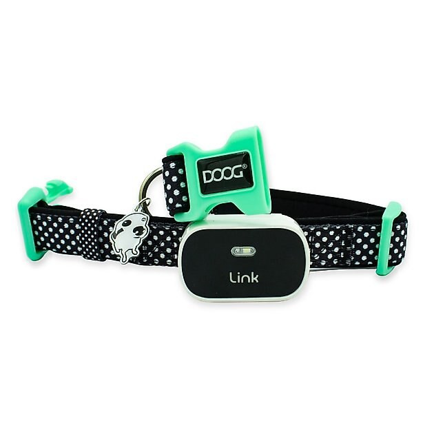 Link My Pet Dog GPS & Activity Tracker with Training Tools & DOOG Dog Collar, Black | Chewy.com