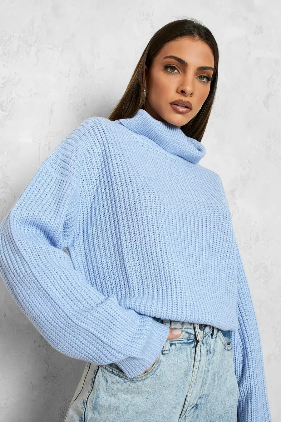 Pastel Blue Cropped Fisherman Roll Neck Jumper | Boohoo.com (UK & IE)