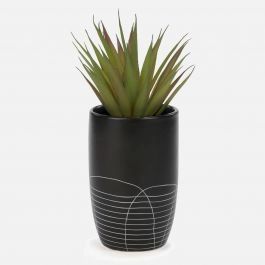 Cactus Plant Ceramic Pot Assorted | Linen Chest