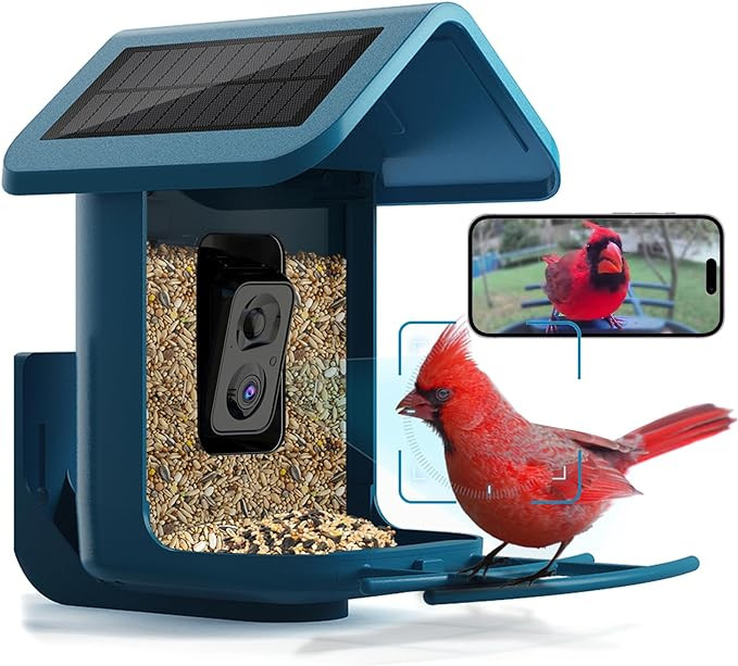 Bird Feeder with Camera Solar Powered : Smart Camera Bird Feeder 2K Live Feed Cam for Outdoor Bac... | Amazon (US)