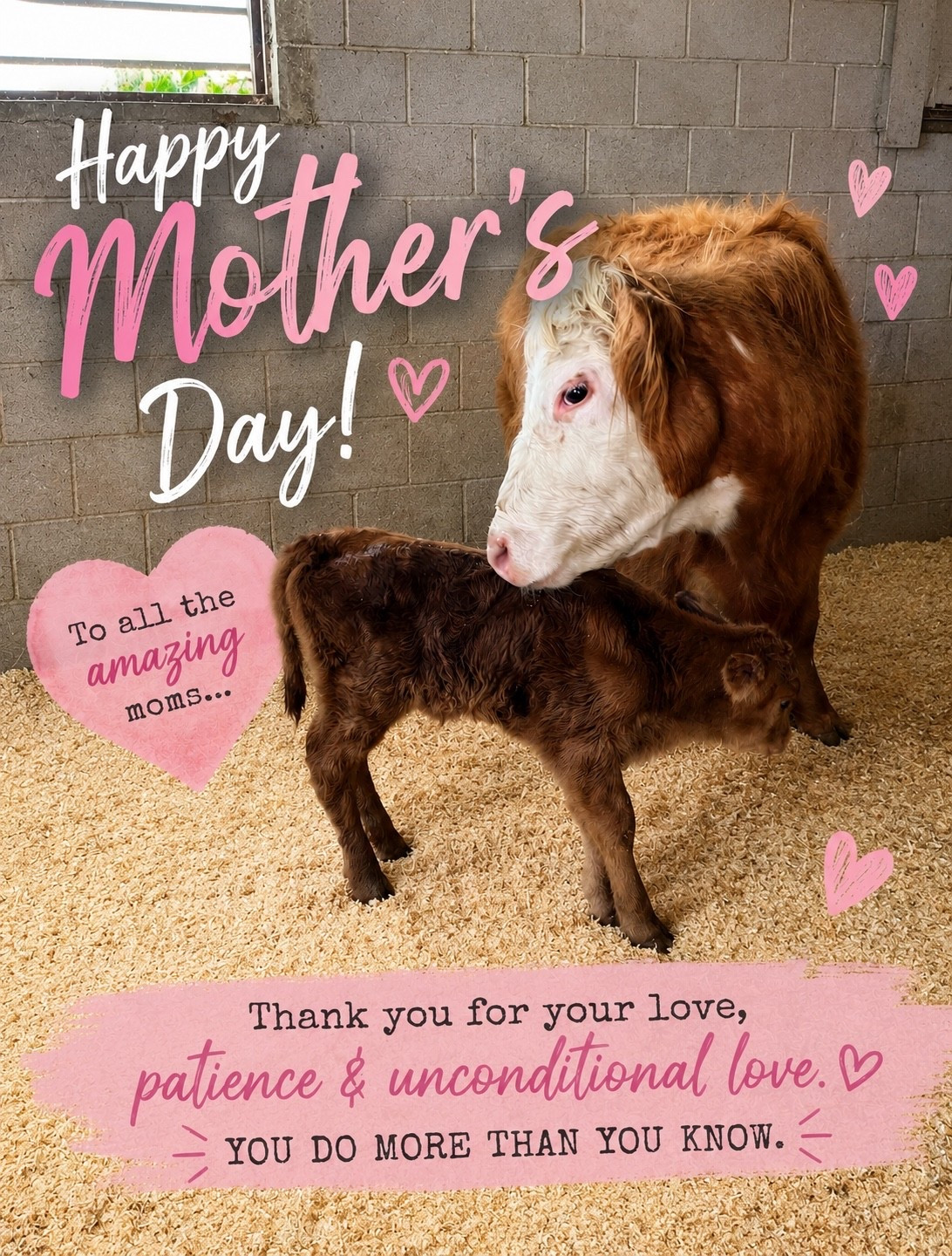 Happy Mother’s Day to all the amazing moms out there 🤍

The ones who show up every single day with love, patience, strength, and a whole lot of hard work — whether it’s raising babies, bottle feeding calves, caring for animals, or simply holding everything together.

Motherhood comes in many forms, and today we’re celebrating all of it 🌸🐄

From our farm to your family…
Happy Mother’s Day 💕

#LTKMothersDay