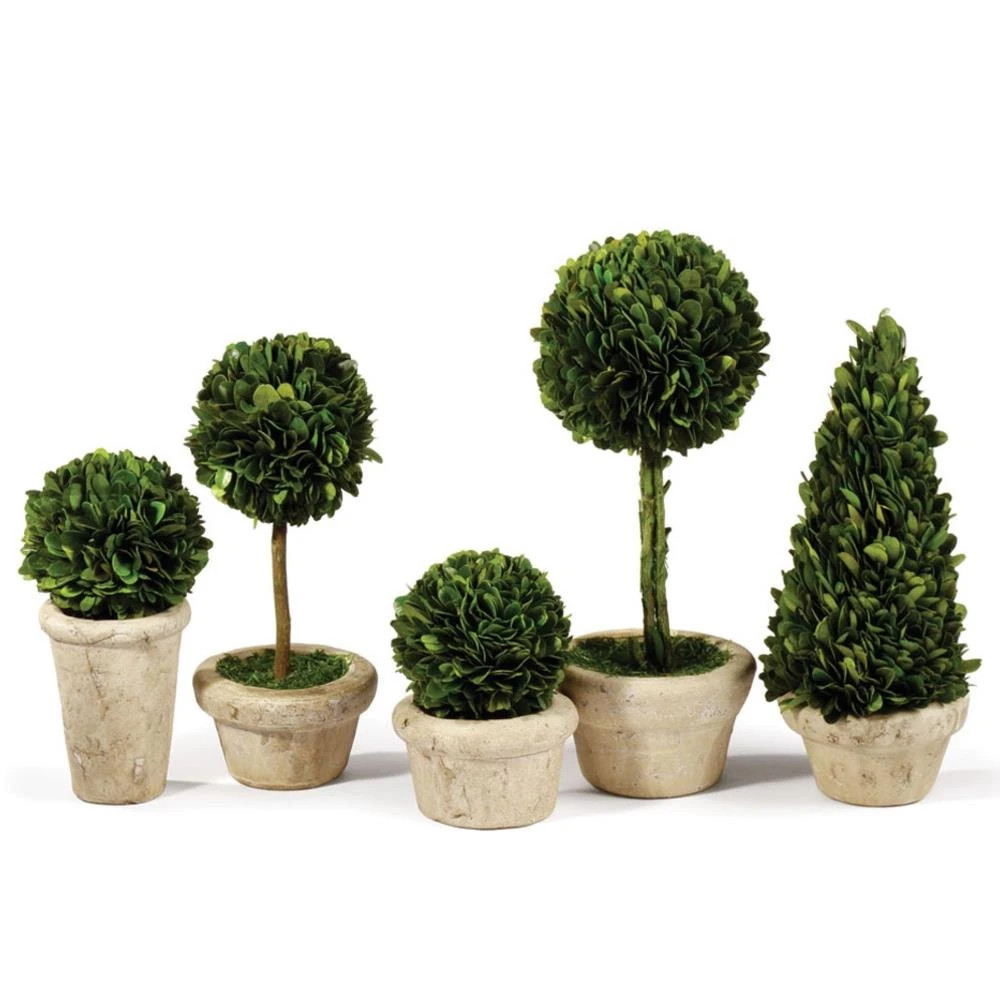 Marin French Country Green Boxwood Potted Topiaries - Set of 5 | Kathy Kuo Home