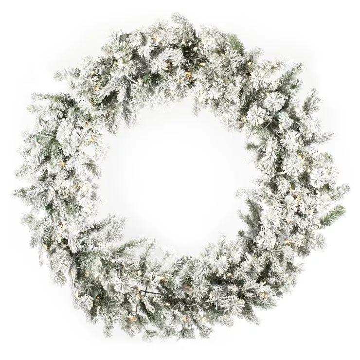 Vickerman Flocked Kiana Artificial Christmas Wreath | Target