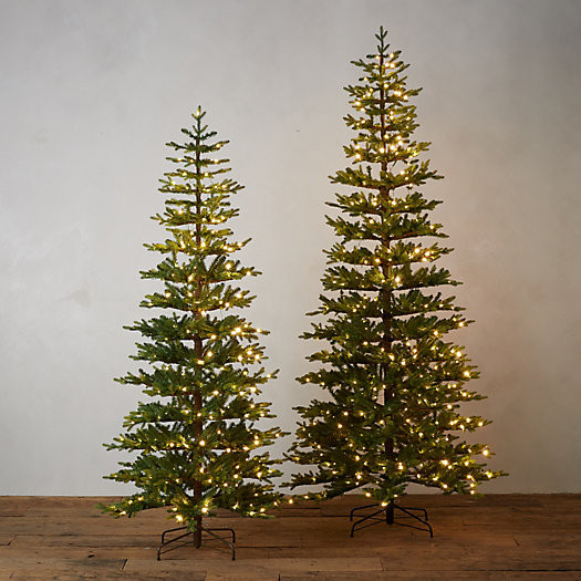 Faux Pre-Lit LED Queensland Tree | Terrain