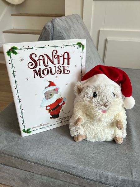 Christmas book. Christmas tradition. Santa mouse. Warmable plush animal. Kids Christmas  