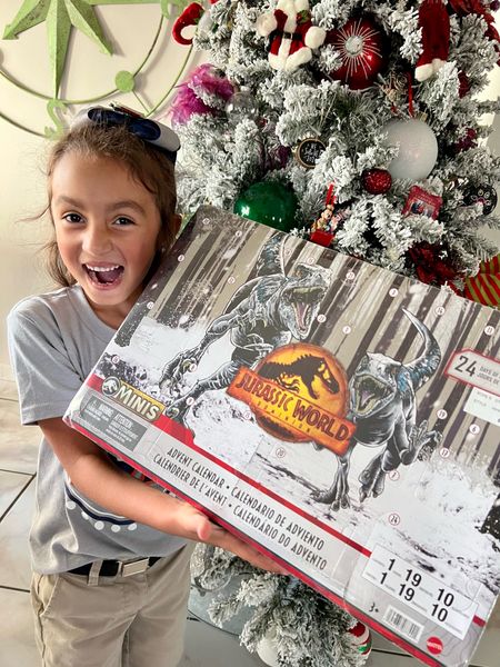 Jurassic world advent calendar #jurassicworld

#LTKSeasonal #LTKHoliday #LTKfamily