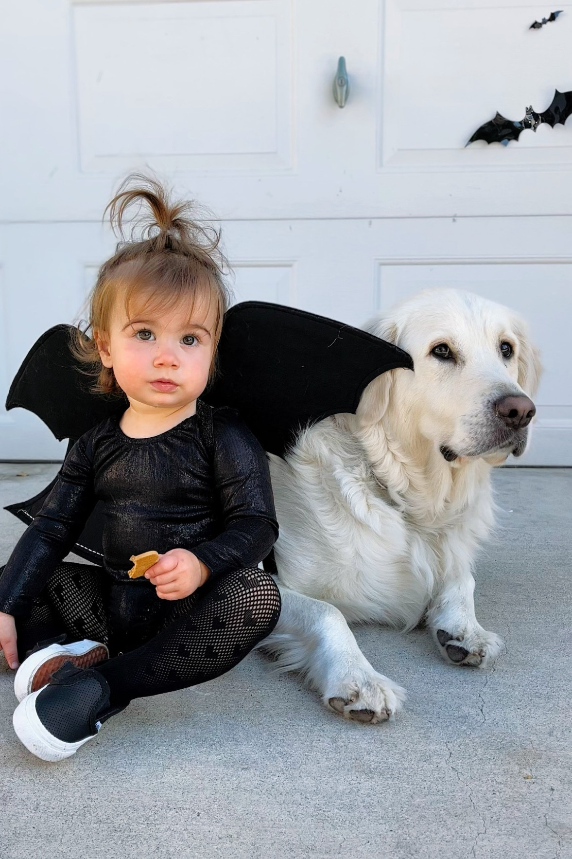 Black bat halloween costume for toddler and/or baby 

#LTKHalloween #LTKstyletip #LTKbaby