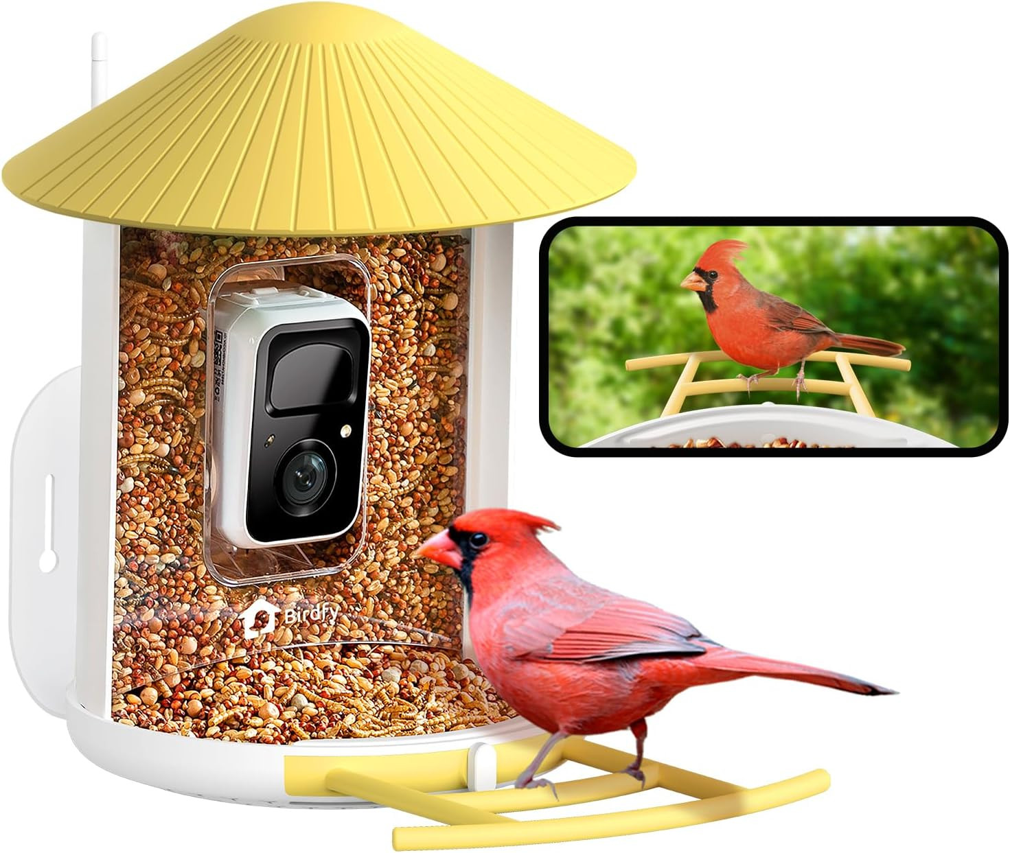 NETVUE by Birdfy Smart Bird Feeder Camera, Bird Watching Camera Auto Capture Birds & Motion Detec... | Amazon (US)