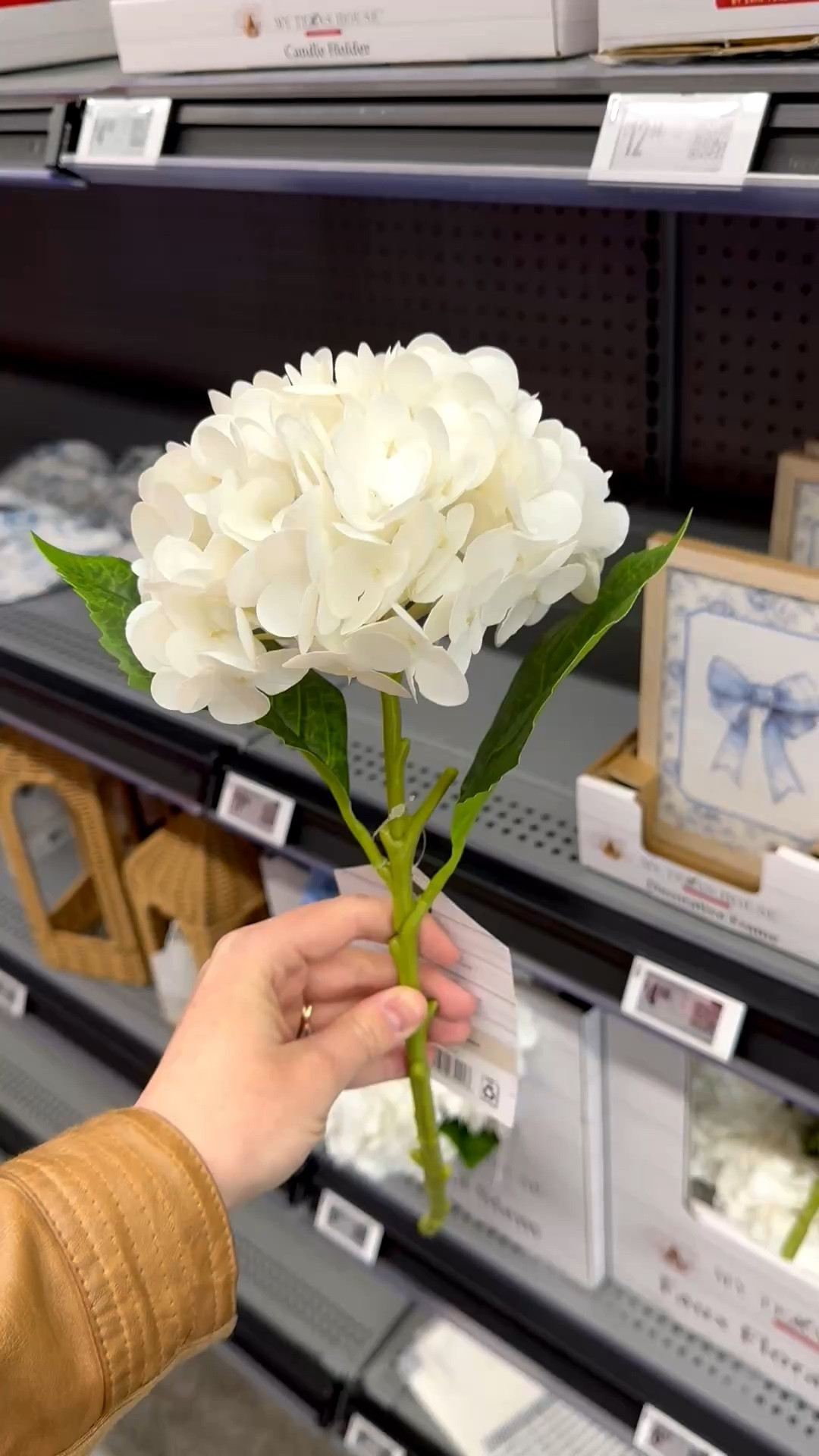 White faux hydrangea stem

#LTKSeasonal #LTKHome