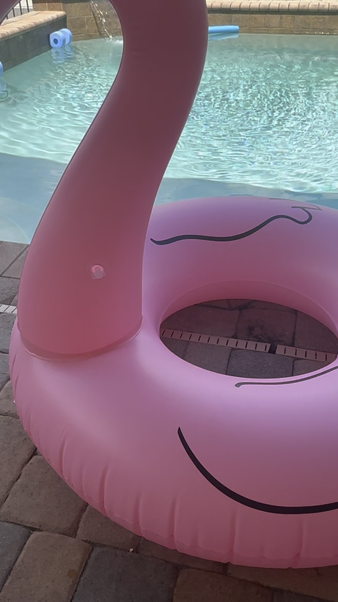 Pool Favorites 

#LTKHome #LTKFindsUnder50 #LTKVideo