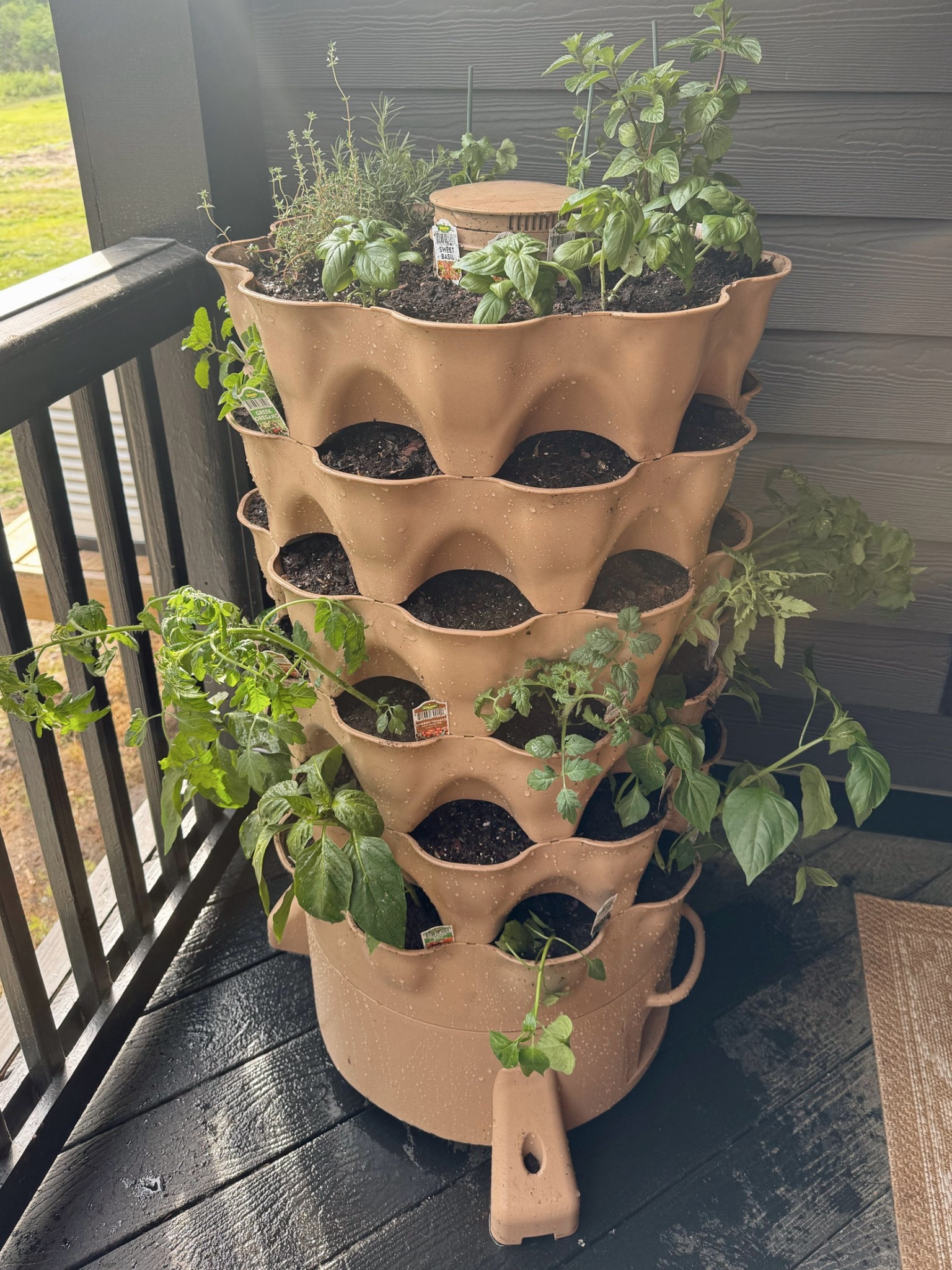 Our exact tower here gifted from my dad is from The Garden Tower Project in the warm sandstone color — they have sales all the time on their website🤎🌱  but I linked a few other options that are a bit smaller / affordable as well! 

Excited to watch these grow in honor of my dad 🥹

Outdoor / gardening / plants / summer / veggies / Holley Gabrielle 

#LTKHome #LTKSeasonal