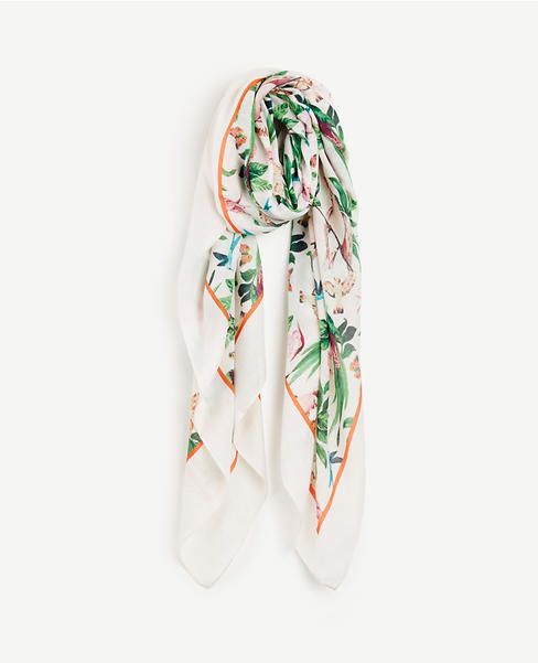 Birds Of Paradise Scarf | Ann Taylor