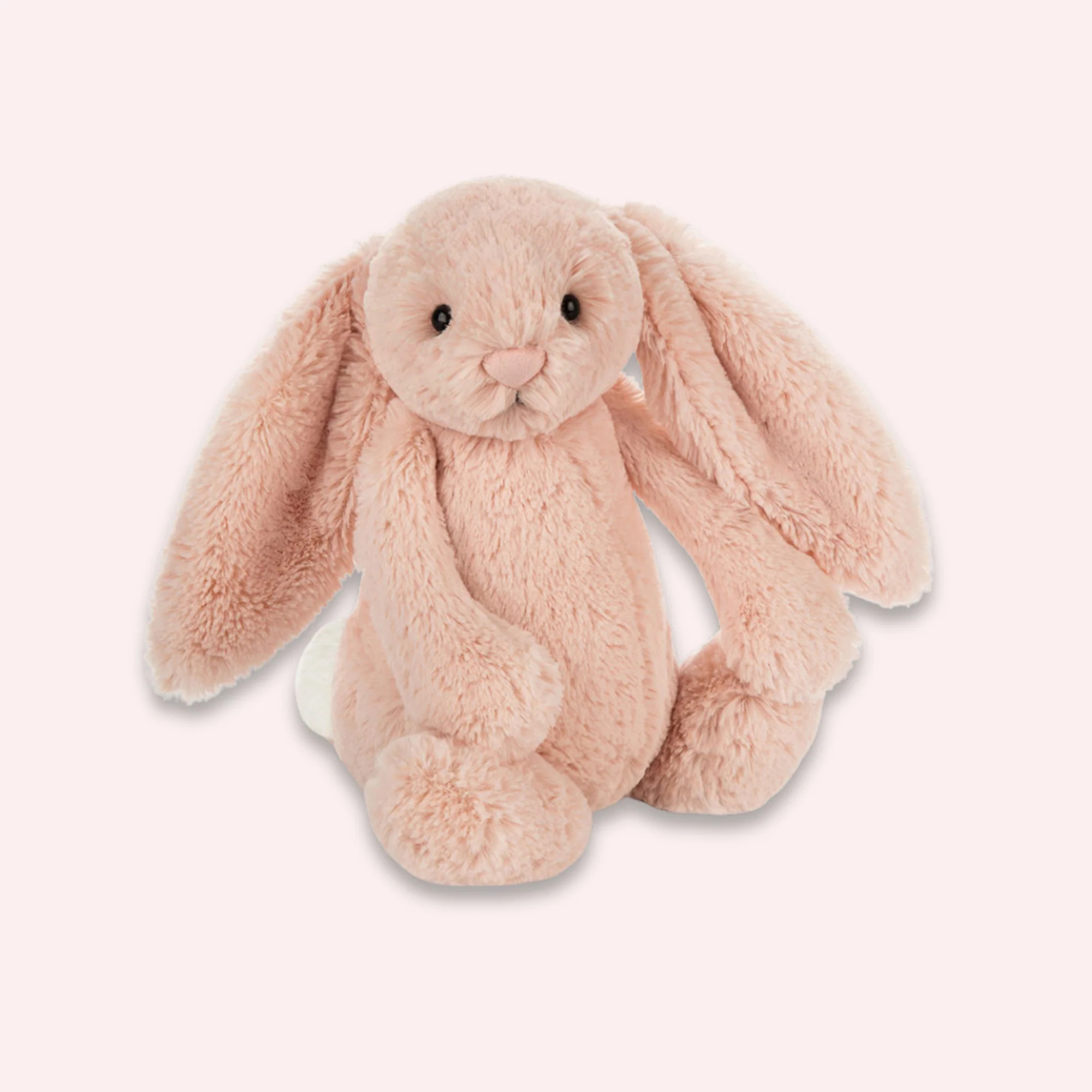 Bashful Blush Bunny - Medium by JELLYCAT | the memo | The Memo (Australia & New Zealand)