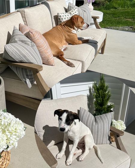 TONS of DM’s asking about our porch furniture this morning when I shared this photo of the pups. 🥹

All of our furniture is from Wayfair and we have been super impressed with it! 👏🏻 every time I share it they are best sellers! 

Best priced when you purchase in a set 🫶🏻 but I’ve also linked the individual pieces!

#LTKHome #LTKSeasonal