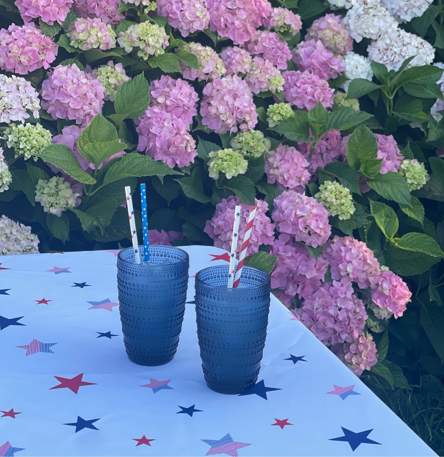4th of July tablescape. 4th of July table decor. July 4th straws. Independence Day tablescape. Blue highball glasses. Summer table decor. Patriotic tablescape. Stars and Stripes table decor. Amazon home. Amazon 4th of July. 4th of July party decor. ❤️🤍💙🇺🇸

#LTKFind #LTKunder50 #LTKhome