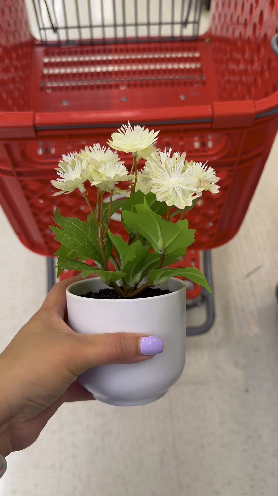 Room essentials greenery at Target! 

#LTKSeasonal #LTKSaleAlert #LTKHome