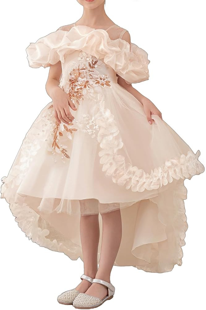 Girl's Princess Dress, Birthday Party, Pageant Gown - Ruffle Tulle Satin Princess Dresses with Ki... | Amazon (US)