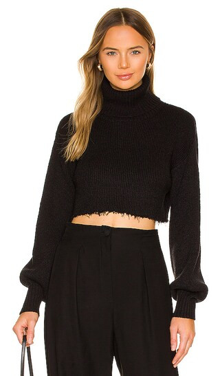 Lucia Cropped Turtleneck in Black | Revolve Clothing (Global)