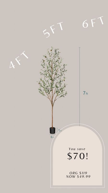 Olive tree on major sale! 

#LTKhome #LTKfindsunder50 #LTKsalealert