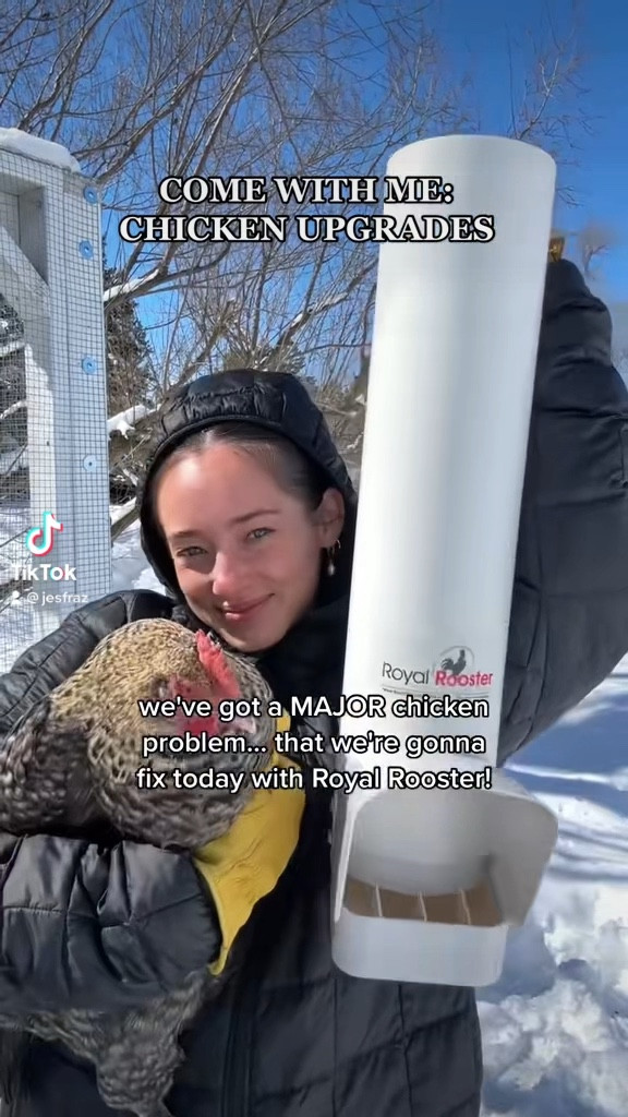 Best chicken feeder for backyard chickens. Scratch preventing chicken feeder. No scratch self feed chicken feeder.

#LTKhome #LTKFind #LTKfamily