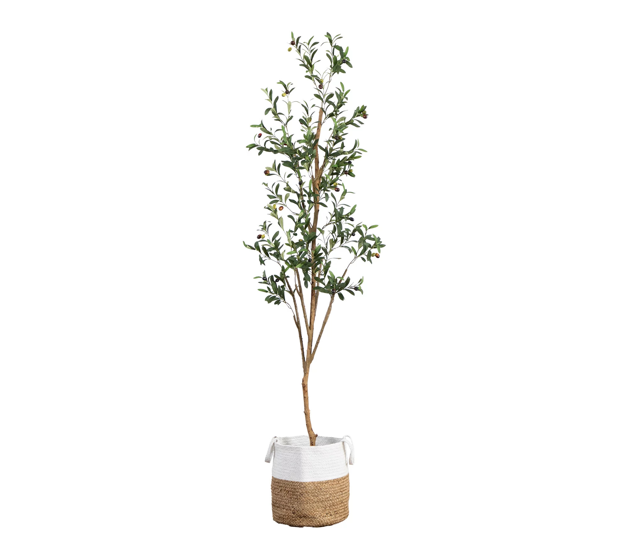 Make Your Selection: Nearly Natural 7' Artificial Trunk Olive Tree | QVC
