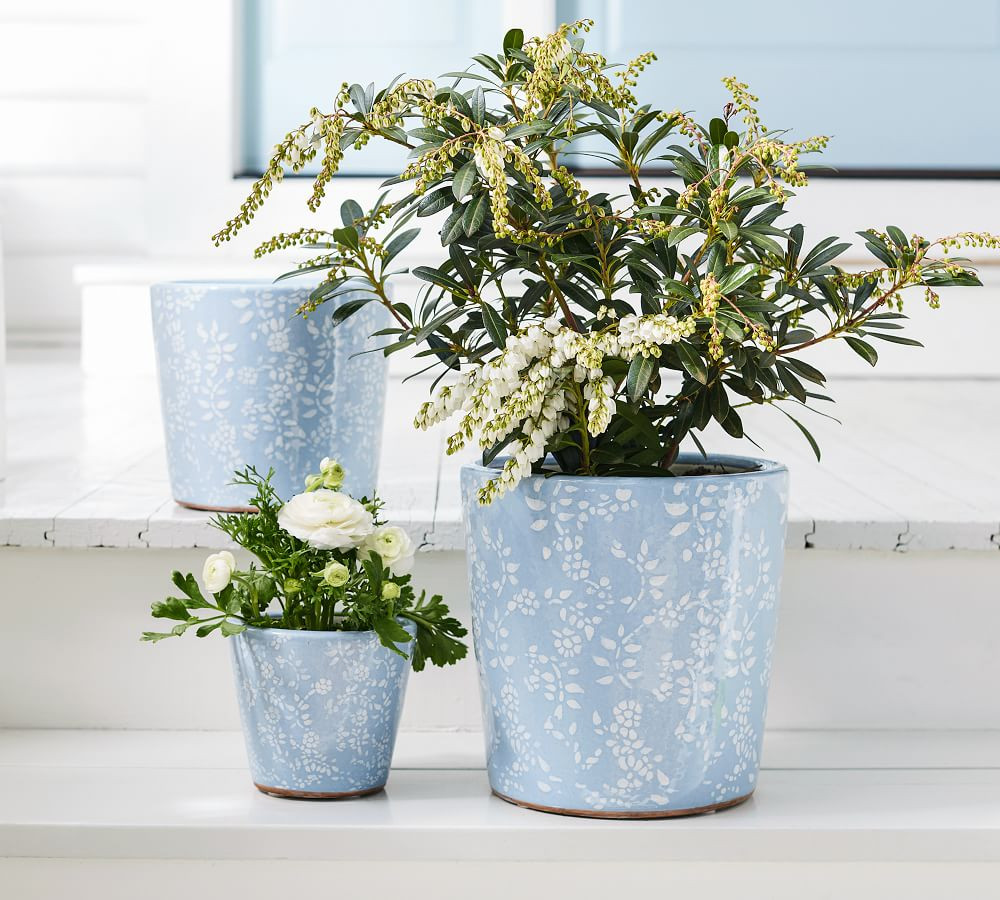 Julia Berolzheimer Flora Handcrafted Terracotta Planters | Pottery Barn (US)