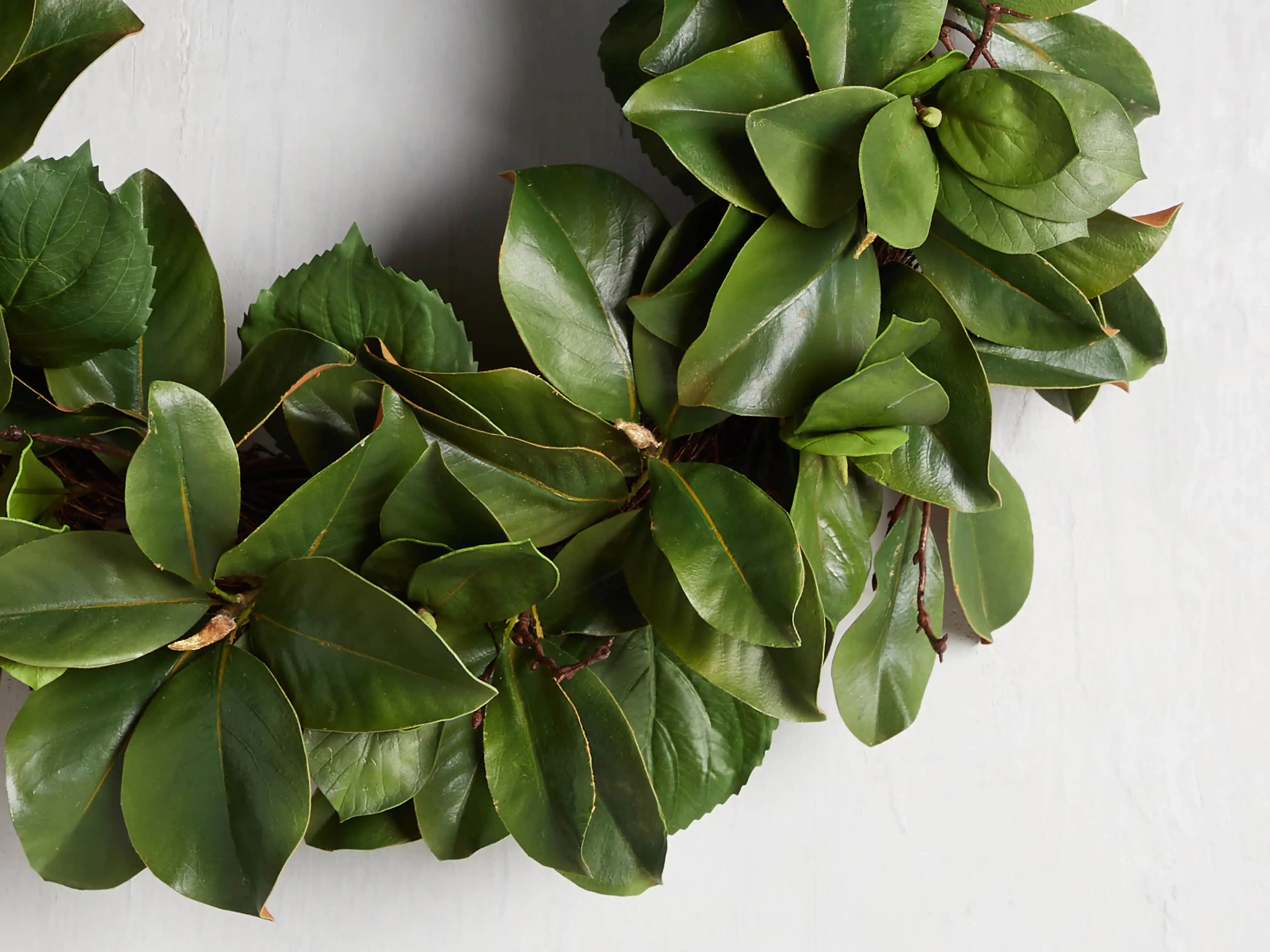 Faux Magnolia Twig Wreath 30" | Arhaus | Arhaus