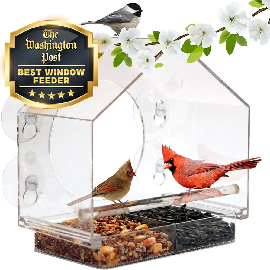 Nature Anywhere Transparent Acrylic Window Bird Feeder - Enhanced Suction Grip, Bird Watching for... | Amazon (US)