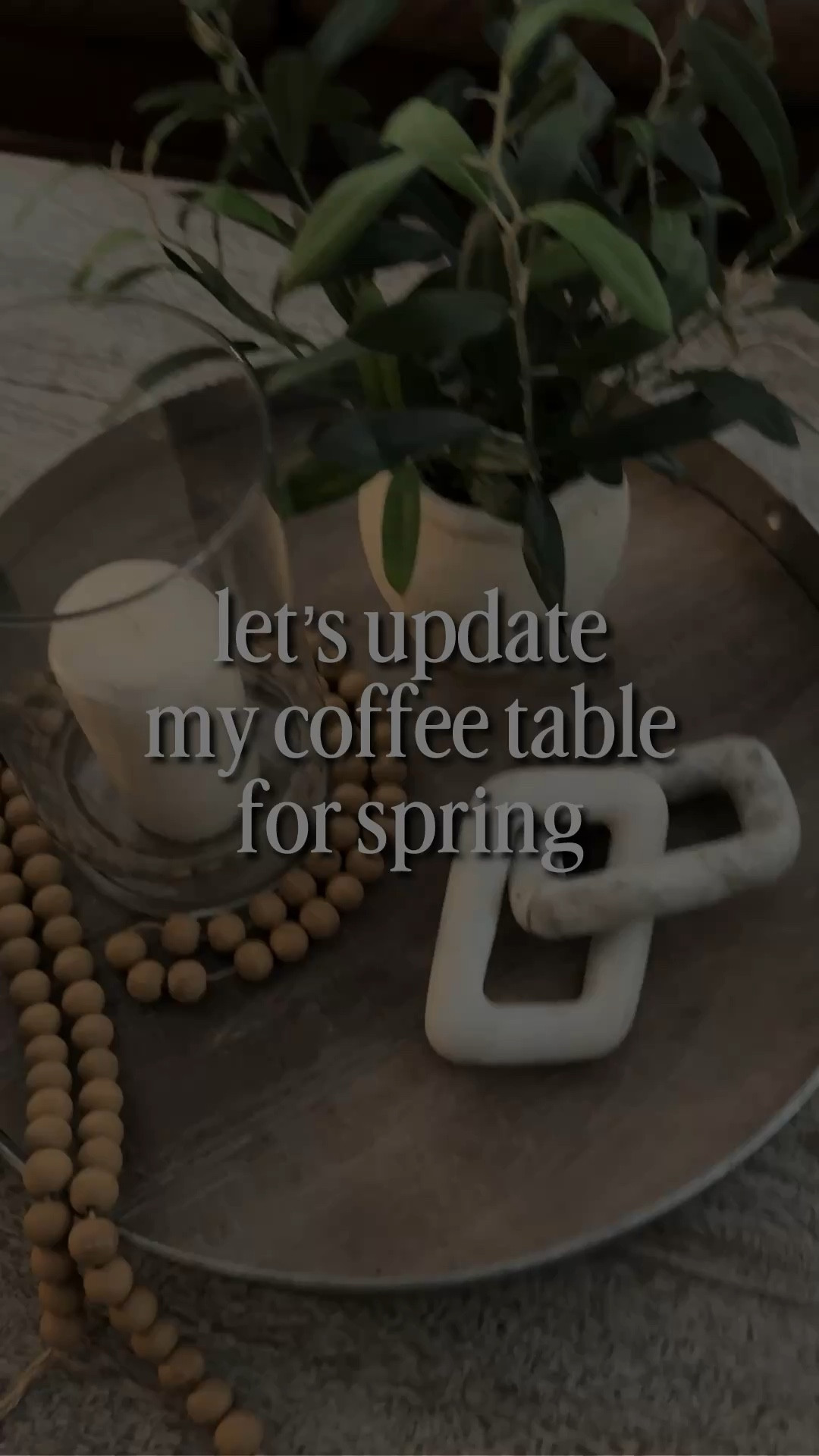 Help me update my Coffee table decor

Tray & potted plants are from target 

*Linking similar items here*

#LTKHome #LTKstorytime #LTKOver40