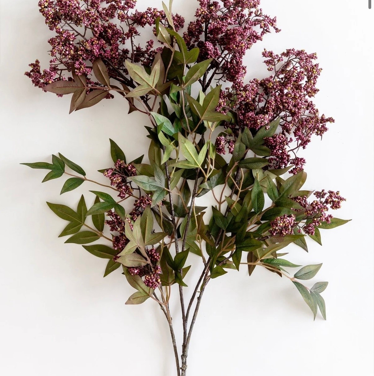 🚨 RUN — it’s been MONTHS!
The viral dusty plum berry stem everyone’s been hunting is BACK + shipping now 🙌

This one always sells out in hours, not days — so if you’ve been waiting, this is your moment!!!