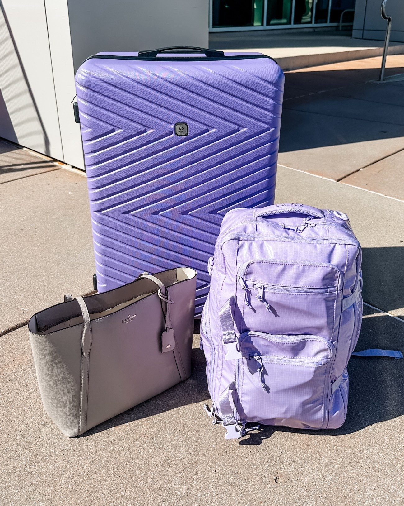 Do I have a favorite color or do I have a favorite color 🤪💜✨🫶🏻

My favorite travel bags! I seriously wouldn’t survive without my Calpak Terra Duffle! 

My suitcase is from years ago but I linked a similar style on Amazon that has great reviews!!

#LTKTravel
