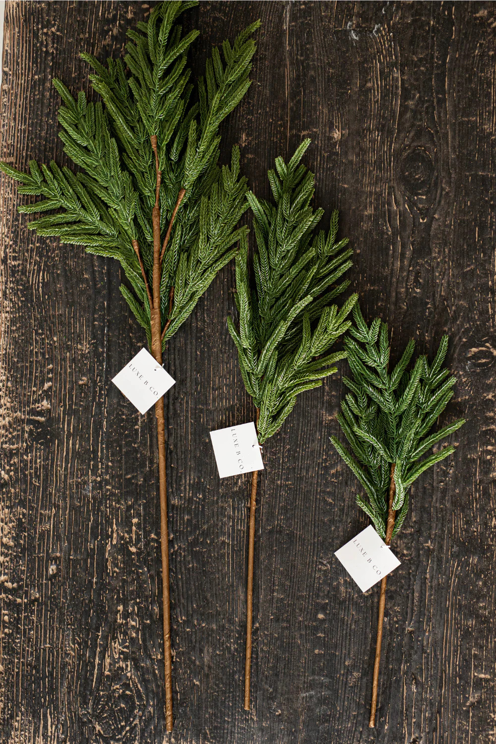 Norfolk Pine Real Touch Green Faux Stem | Luxe B Co