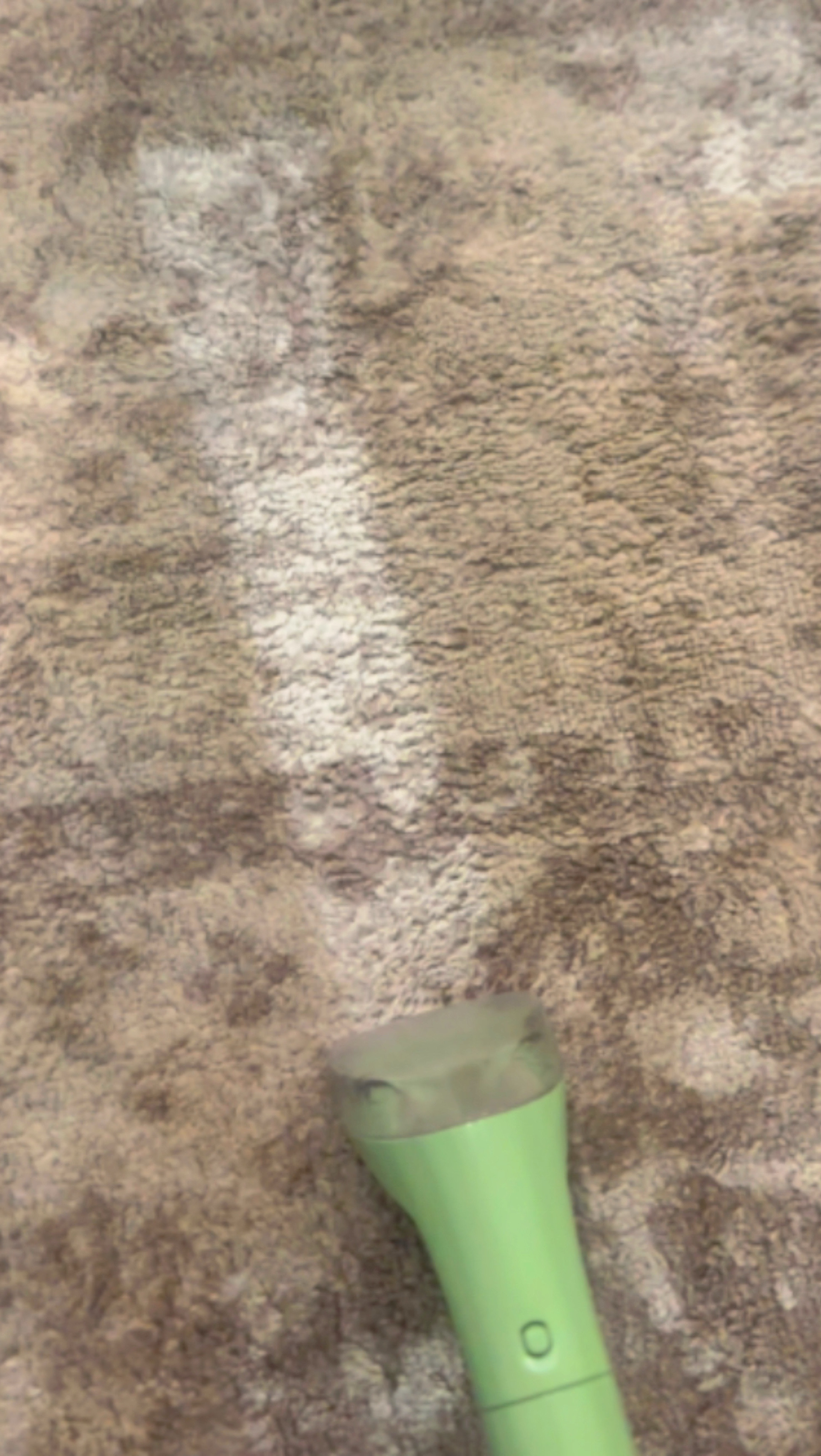 Bissell Little Green – the real MVP for pet parents! 

#LTKSaleAlert #LTKHome #LTKWatchNow